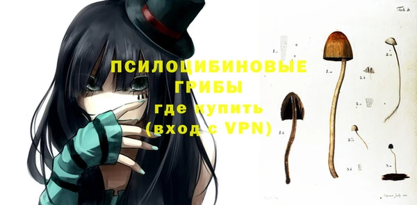 эйфоретик Белокуриха