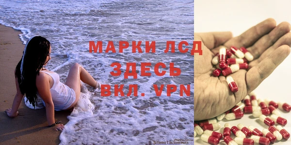 эйфоретик Белокуриха